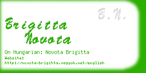 brigitta novota business card